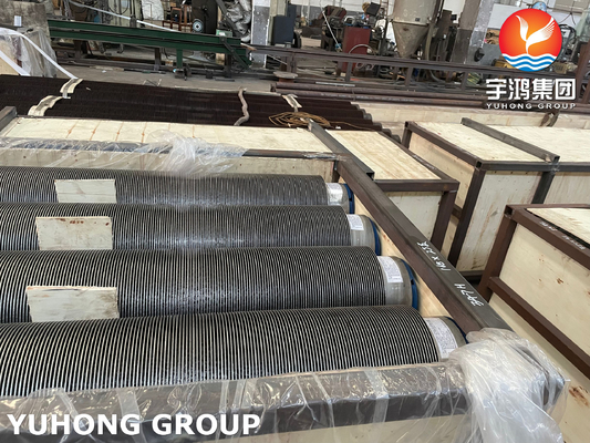 Buy TP304 18Cr-8Ni Finned Pipe 11-13Cr Fins For Fired Heater Convection Section online manufacture