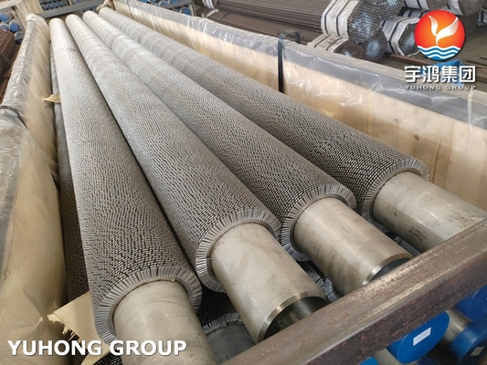 Buy ASTM A312 TP304H Serrated Fin Tube SS304H Fins For Fired Heater online manufacture