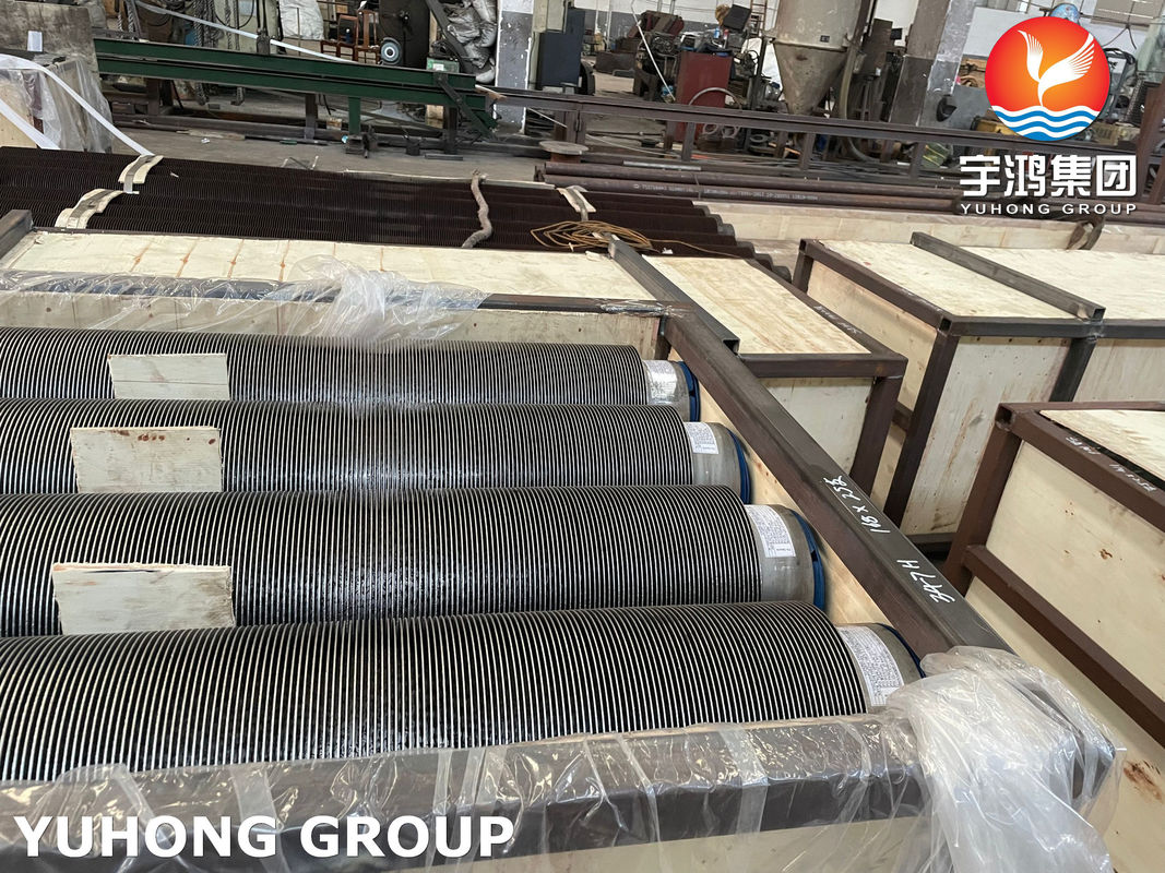 TP304 18Cr-8Ni Finned Pipe 11-13Cr Fins For Fired Heater Convection Section