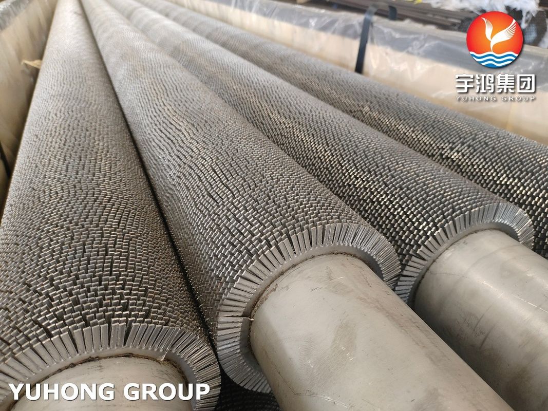 A312 TP304, TP304H,TP304L Serrated Fin Pipe SS304H Fins for Fired Heater Convection Section