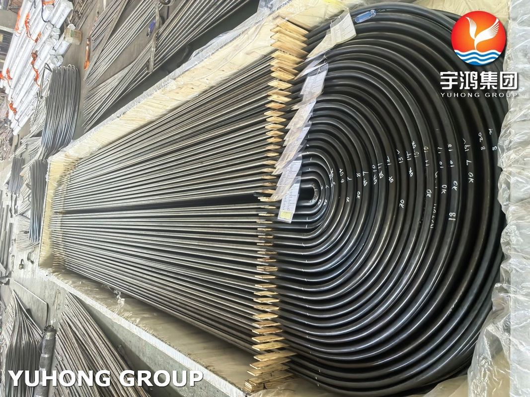 A213/SA213 TP304L Seamless Heat Exchanger Tube U Bend Tube Stainless Steel Bright Annealed