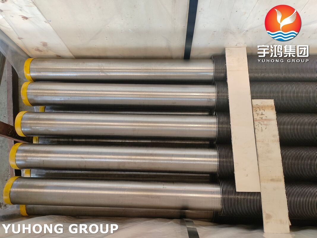 ASTM A312 Stainless Steel Seamless TP321H HFW Finned Tubes for Large Heat Transfer Equipment