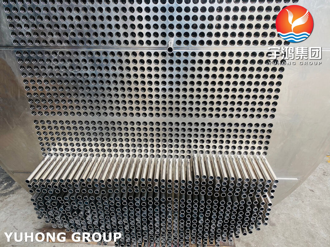ASME SA213 TP316L Corrosion Resistant Heat Exchanger Tube Bundle with SA350 LF2 Tubesheet