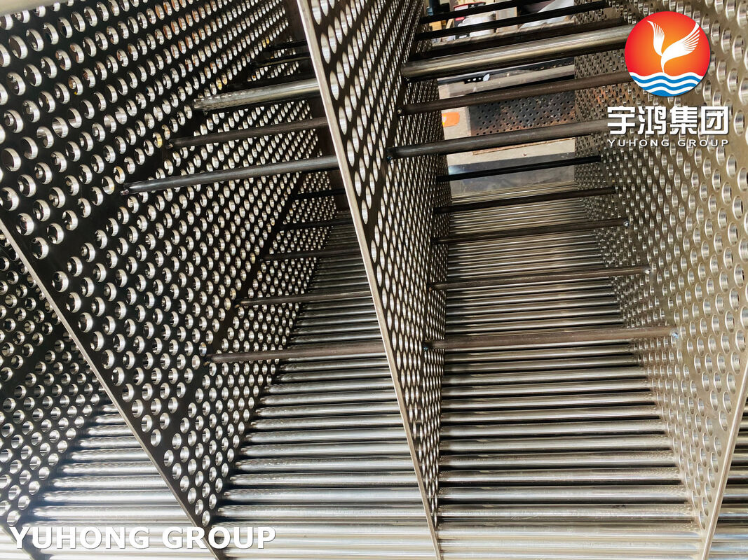 ASME SA213 TP316L Corrosion Resistant Heat Exchanger Tube Bundle with SA350 LF2 Tubesheet